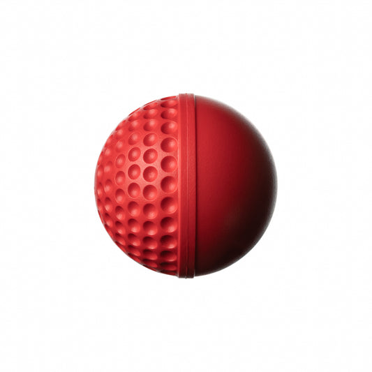 SWINGA Technique Ball (146gms - Junior) - Highmark Cricket