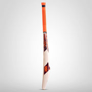 DSC Intense Assault English Willow Cricket Bat - Junior Range - Highmark Cricket