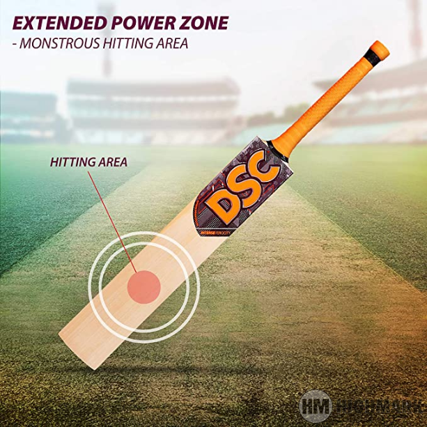 DSC Intense Ferocity Grade 4 EW Cricket Bat - Highmark Cricket