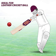 DSC Intense Ferocity Grade 4 EW Cricket Bat - Highmark Cricket