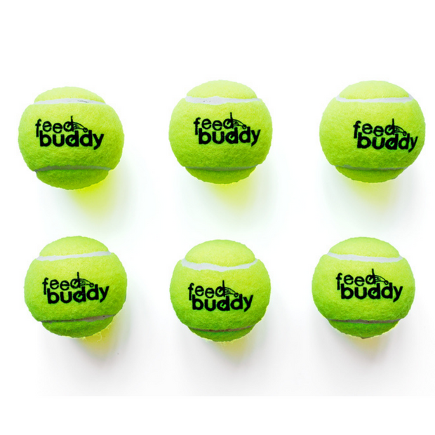 FEED BUDDY Tennis Balls (6 Pack) - Highmark Cricket