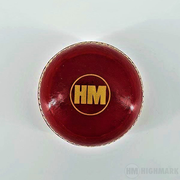 HM Aggot Practice Leather Ball - Highmark Cricket
