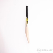 HM Maximus Kashmir Willow Cricket Bat - Highmark Cricket